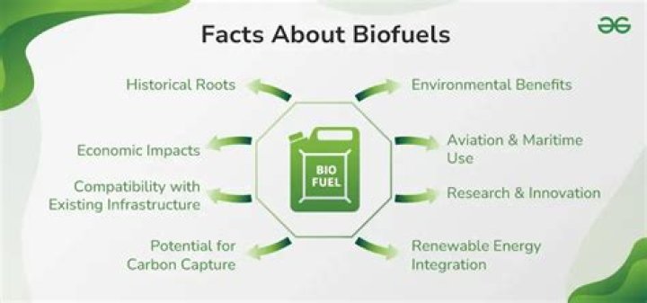 What is the government doing about biofuels?