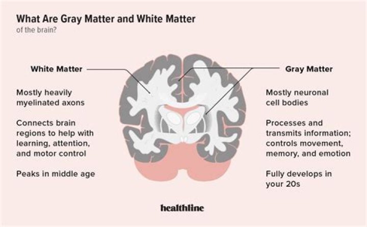 What is the GREY matter?