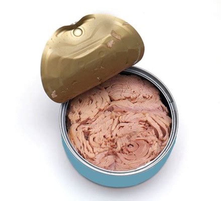 What is the healthiest canned fish?