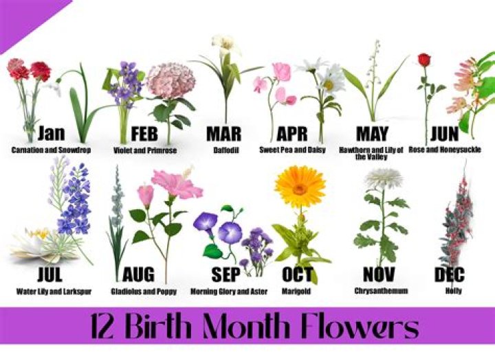 What is the healthiest month to be born in?