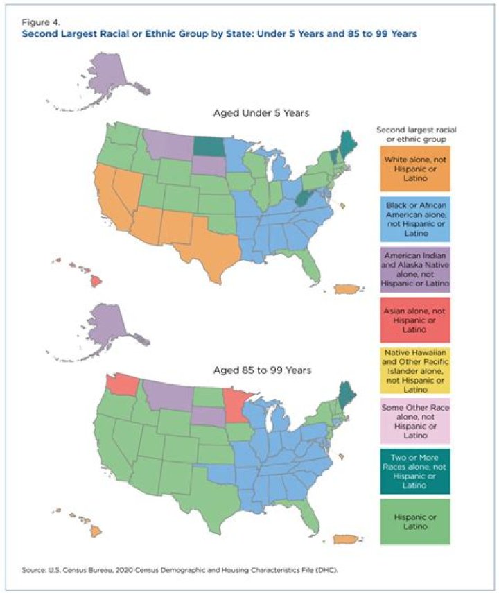 What is the largest ethnic group in Arizona?