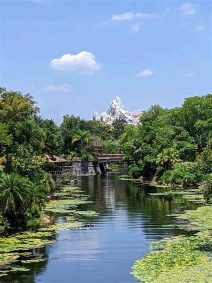 What is the least visited Disney park?