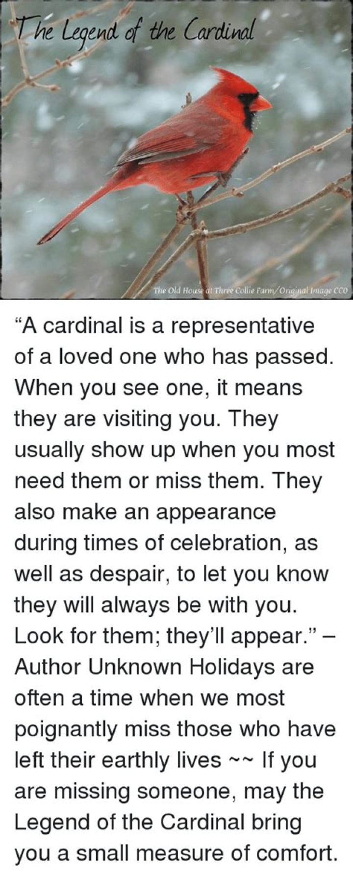 What is the legend of the cardinal?