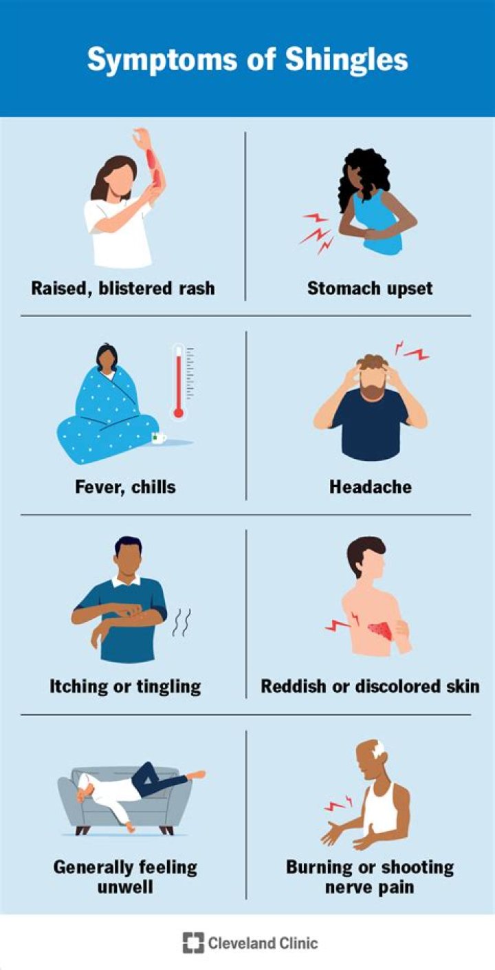 What is the main cause of shingles?