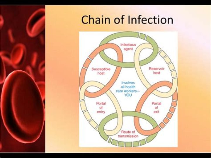 What is the main route to spread infection?