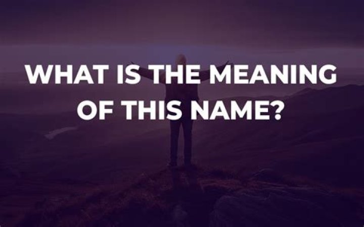 What is the meaning of Il Mio?