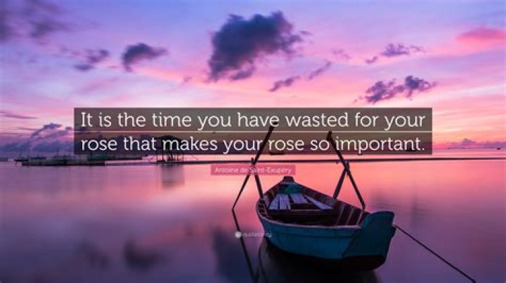 What is the meaning of it is the time you have wasted for your rose that makes your rose so important?