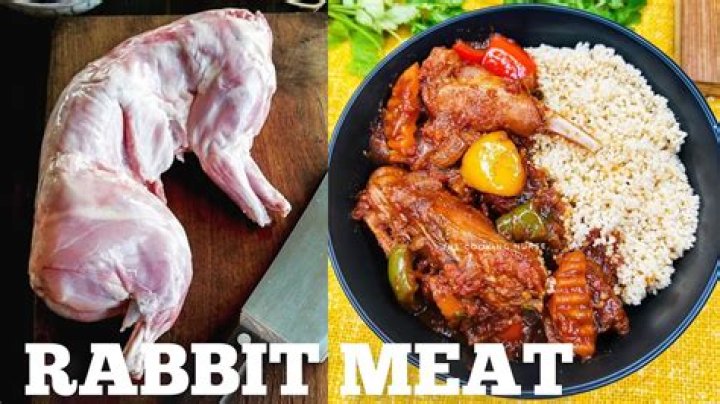 What is the meat of rabbit called?