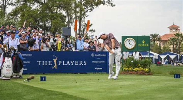What is the most popular iron on the PGA Tour?