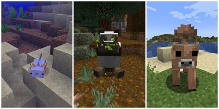 What is the most rarest pet in Minecraft?