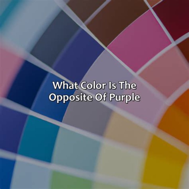 What is the Opposite of King?