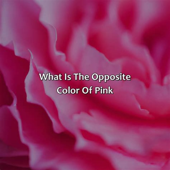 What is the opposite of 1?