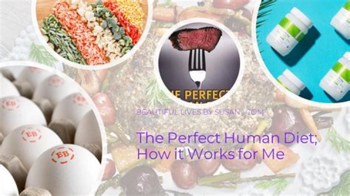 What is the perfect food for humans?