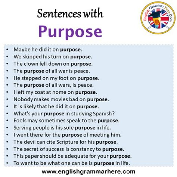 What is the purpose of the final sentence?