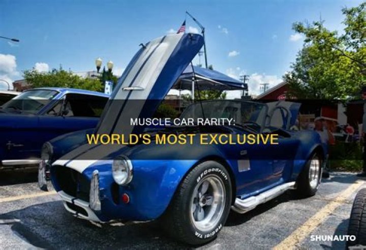 What is the rarest muscle car in the world?