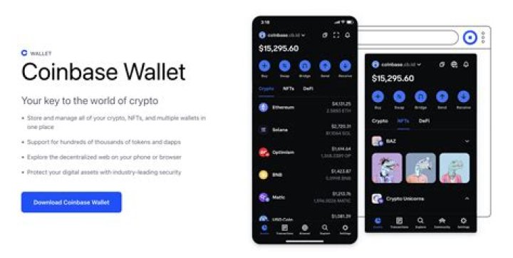 What is the safest wallet for cryptocurrency?