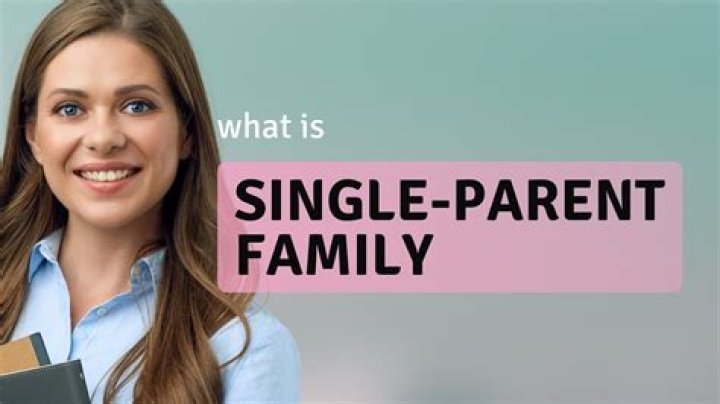 What is the single parent payment?