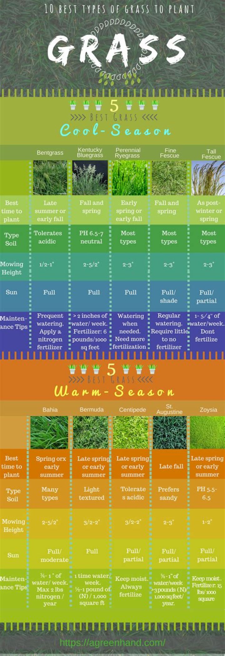 What is the toughest grass?