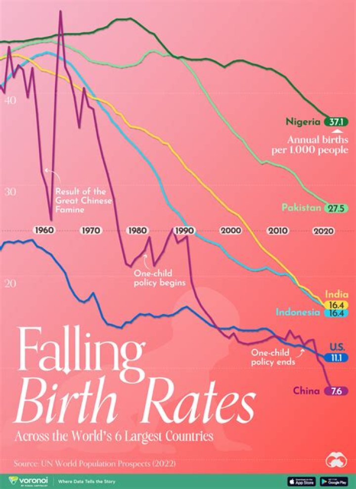 What is the world birth rate per day?