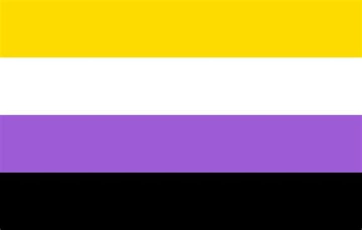 What is the yellow and black flag?