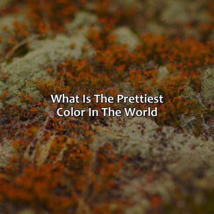 What is the youngest color in the world?