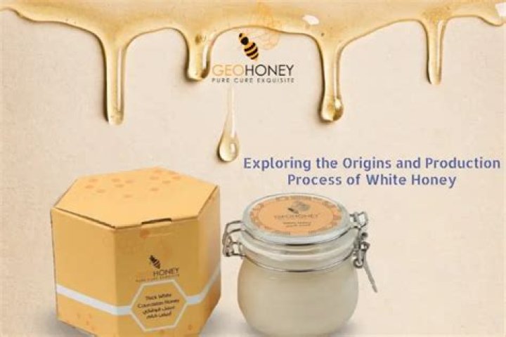 What is white honey?