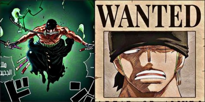 What is Zoro's bounty?