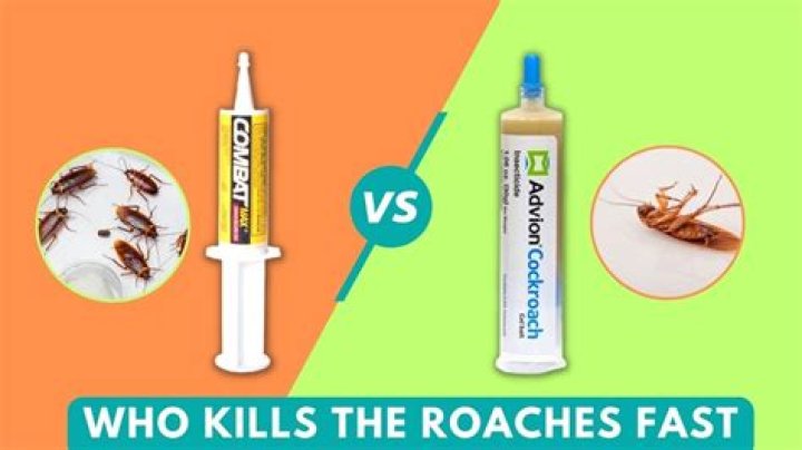 What kills a roach instantly?