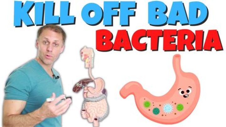 What kills bacteria in the stomach?