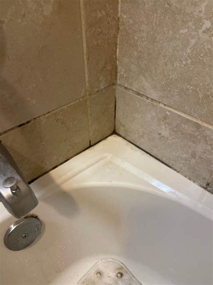 What kills mold in the bathroom?