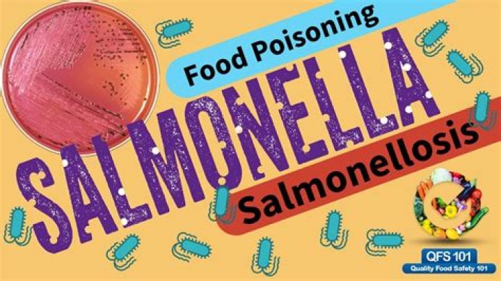 What kills salmonella in the body?
