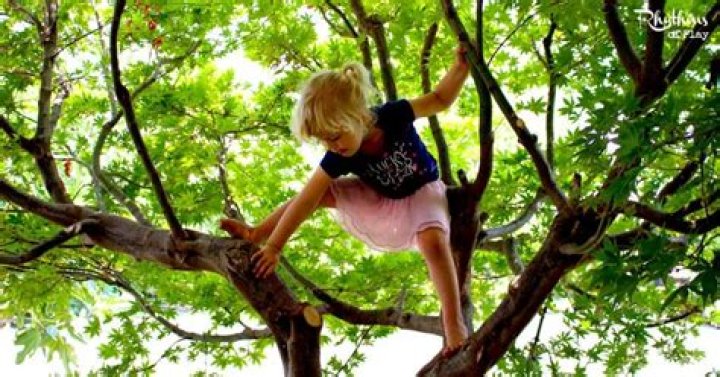 What kind of rats climb trees?