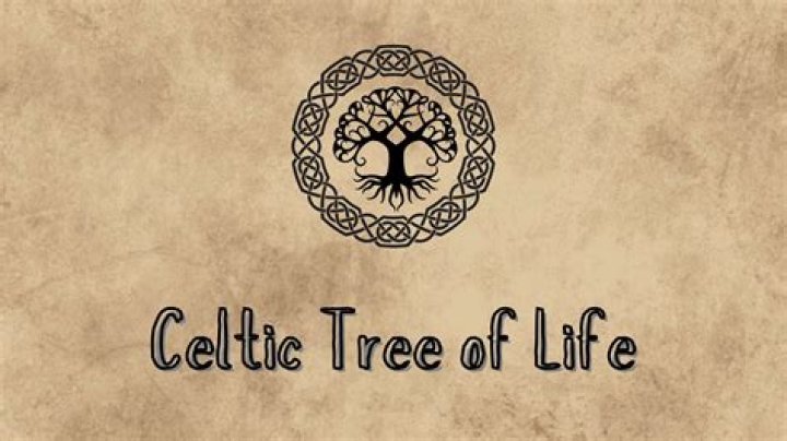 What kind of tree is the Celtic tree of life?