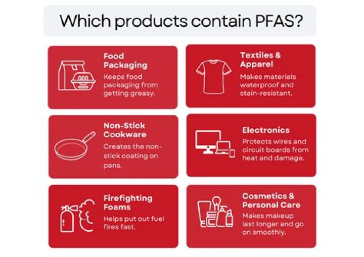What make up is PFAS-free?