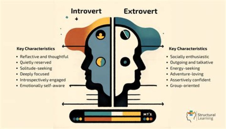 What makes extrovert successful?