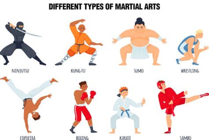 What martial arts does Tim Drake know?
