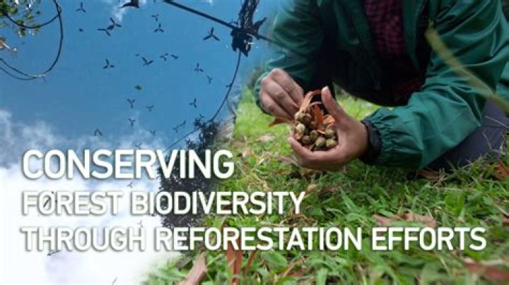 What measures has the Government of India taken to protect our forest?