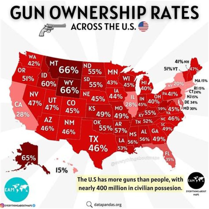 What muscle are guns?