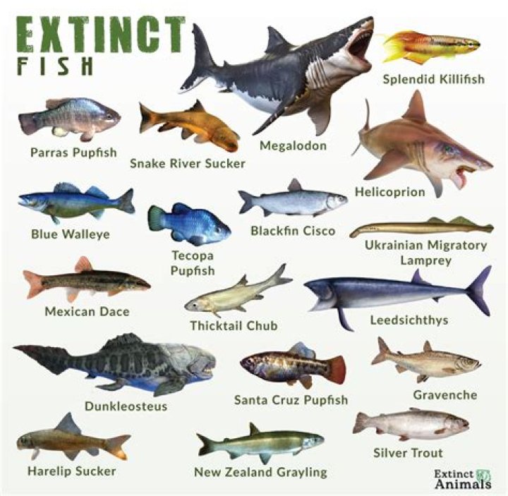 What names are becoming extinct?