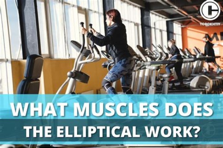 What parts of your body does the elliptical work?
