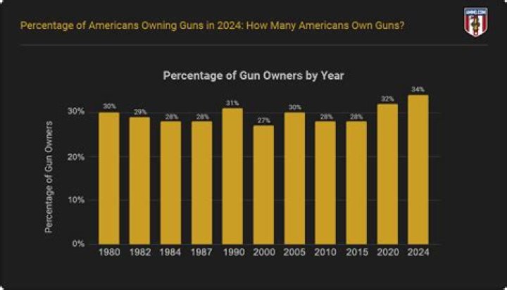 What percentage of people own a guitar?