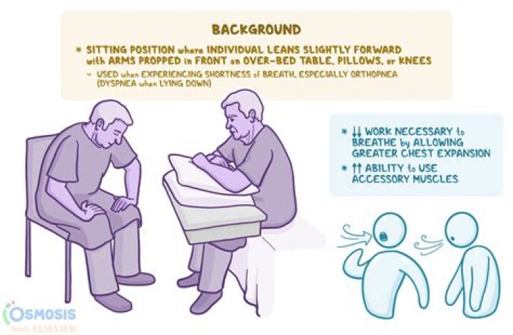 What position is Morgana?