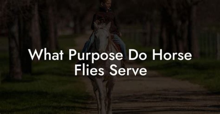 What purpose do centipedes serve?