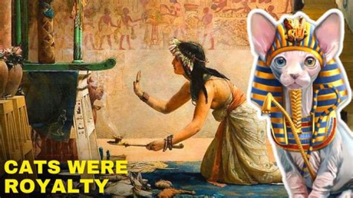 What religion are cats worshipped?
