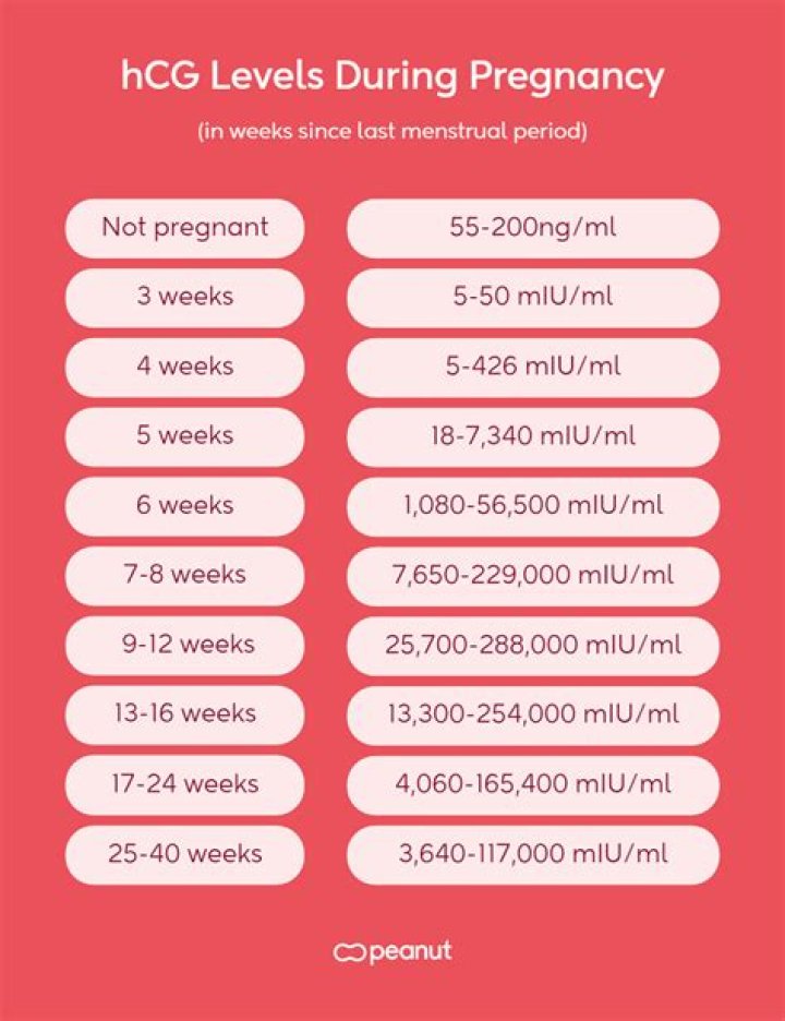 What should your hCG levels be at 8 weeks?