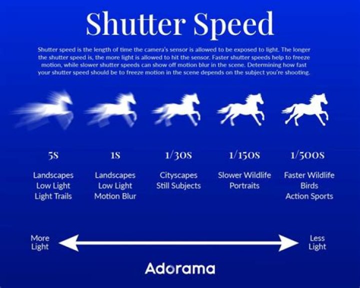 What shutter speed do movies use?
