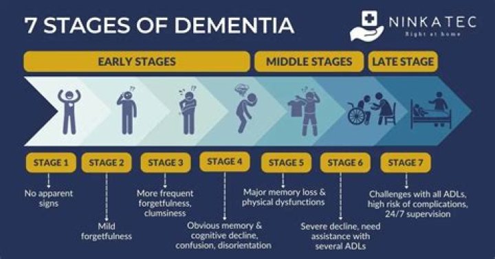 What slows dementia Down?