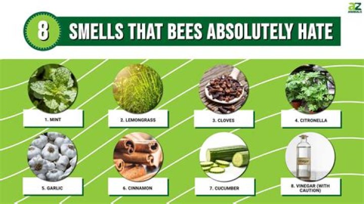 What smells do bees and wasps hate?