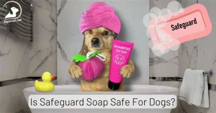 What soap is safe for dogs?