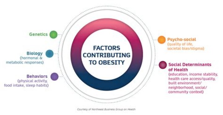 What social factors contribute to obesity?